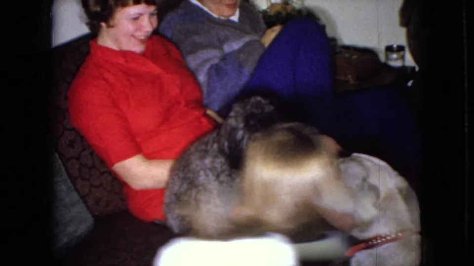 A younger person seen from behind leans into the foreground as two dogs move near a smiling woman on a patterned couch in the supplied 1965 home-movie setting.