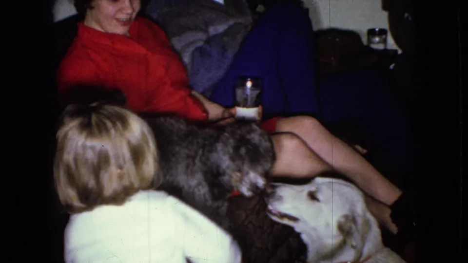 A woman in a red dress sits with a glass on a patterned couch while a small dark dog, a light-colored dog, and a younger foreground figure share the frame.