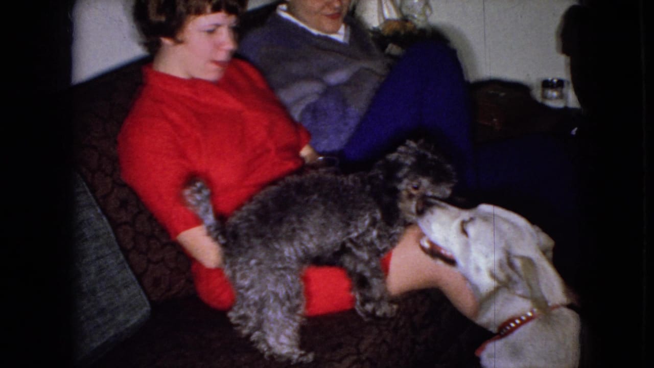 In a Wellsburg, Iowa home-movie frame from 1965, a gray poodle-type dog and a light-colored dog interact on the lap of a woman in red beside another seated adult on a couch.