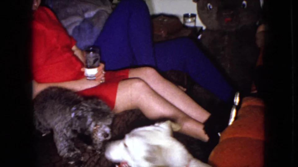 The woman in a red dress sits with a drink while the gray poodle-type dog and light-colored dog continue playing near her legs, with another seated adult and stuffed bear in the background.