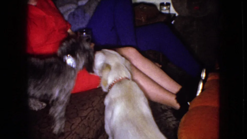 In 1965 home-movie footage from Wellsburg, Iowa, an adult woman in red and blue clothing sits on a couch as a light-colored dog and a darker poodle-like dog interact near her.