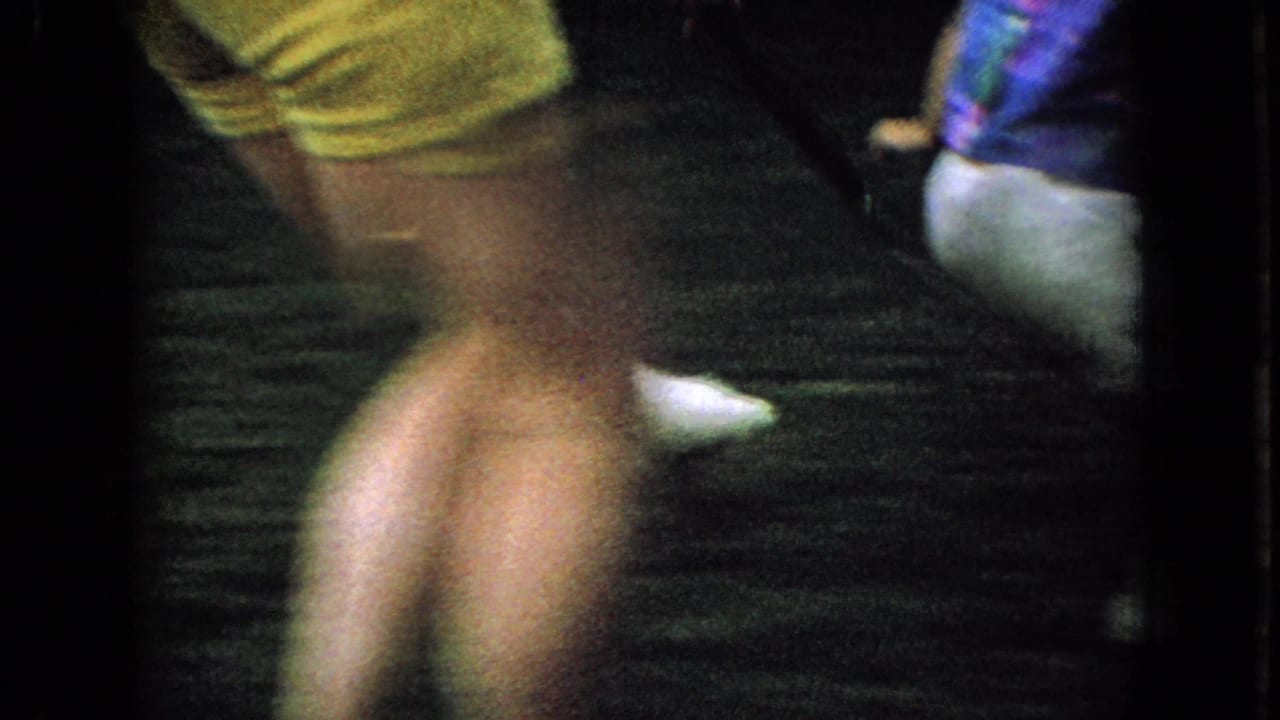 Blurred person in yellow clothing crossing in front of the camera with a duck partly visible behind them.