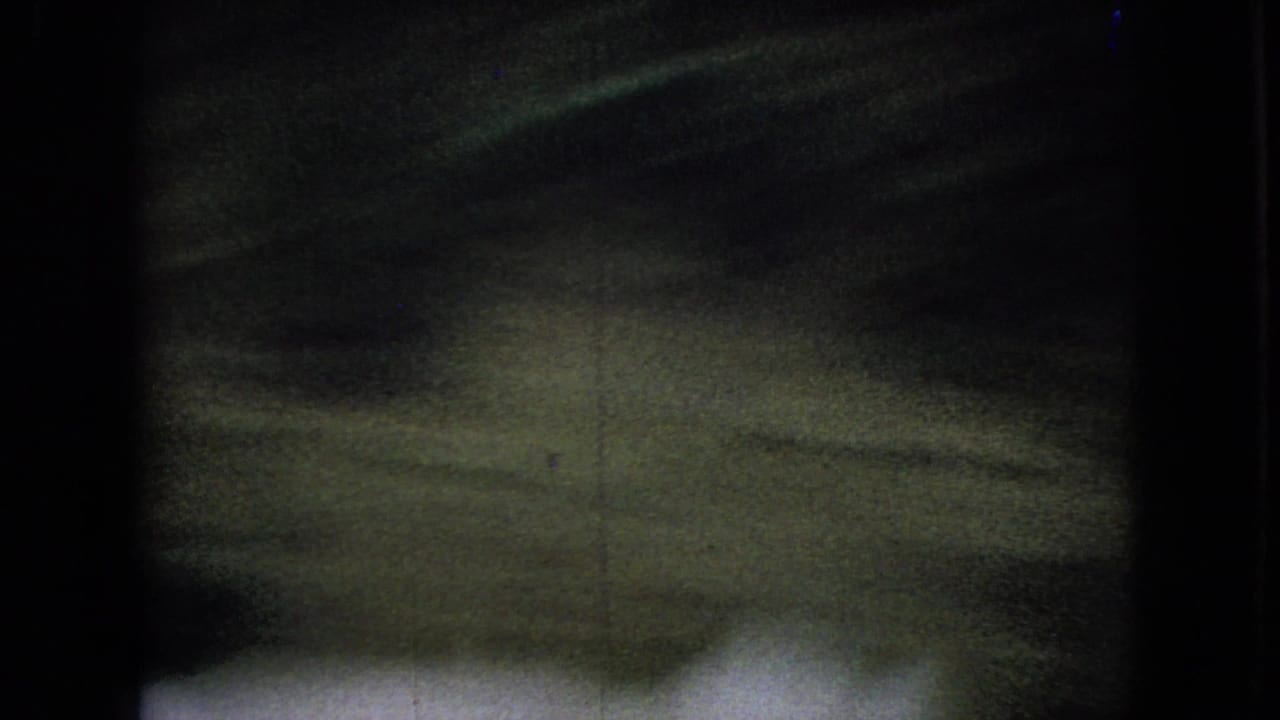 Small brown dog, described in metadata as a pug, moves on a leash through the darkened yard frame during the duck chase.