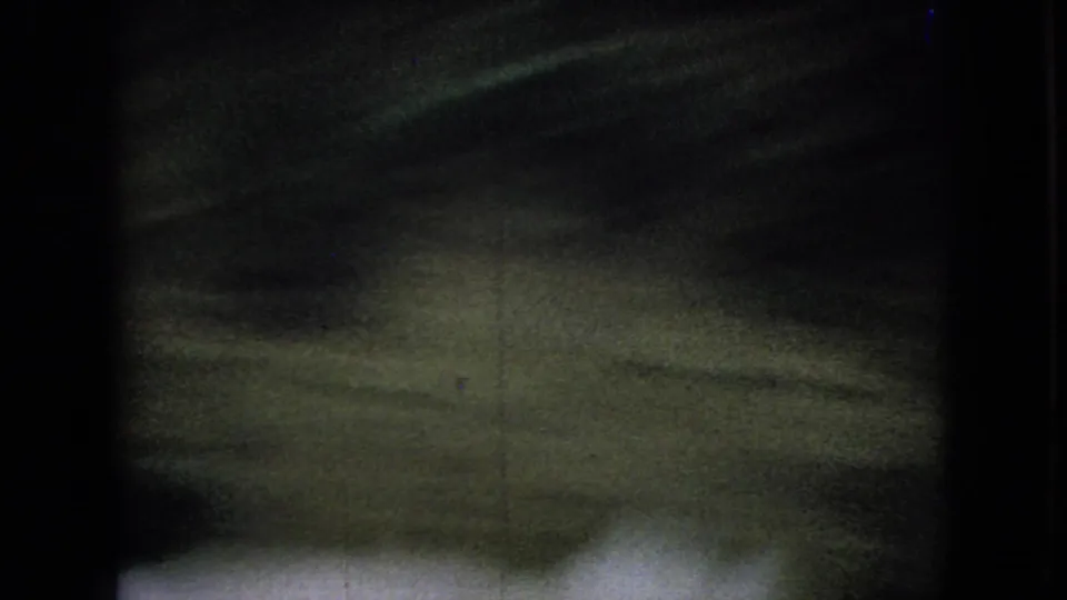 Small brown dog, described in metadata as a pug, moves on a leash through the darkened yard frame during the duck chase.