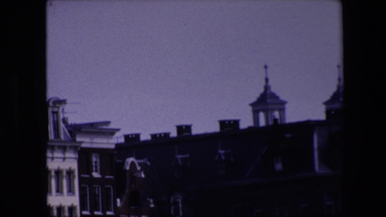 Historic roofline and tower cupola under a purple-toned sky.