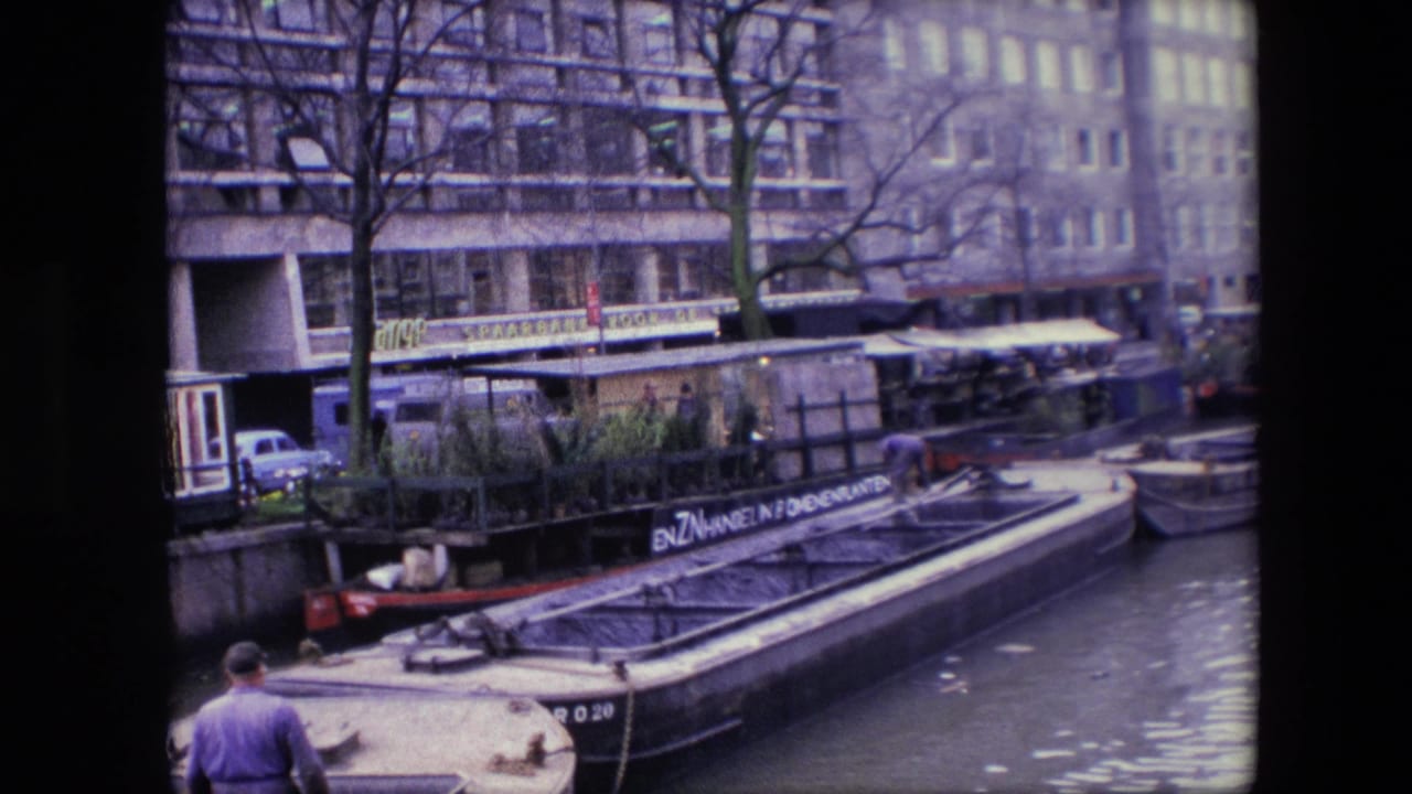 1967 Amsterdam home-movie frame showing a man in a purple shirt walking near the water while a plant-filled canal barge sits beside waterfront buildings.