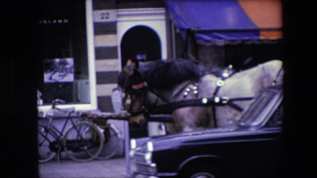 Harnessed horse and carriage near parked bicycles and passing cars in front of a shopfront.