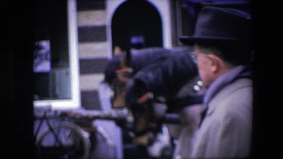 Foreground adult in a brimmed hat partly obscures a 1967 Amsterdam street scene with a harnessed horse, carriage equipment, bicycles, and storefront windows.