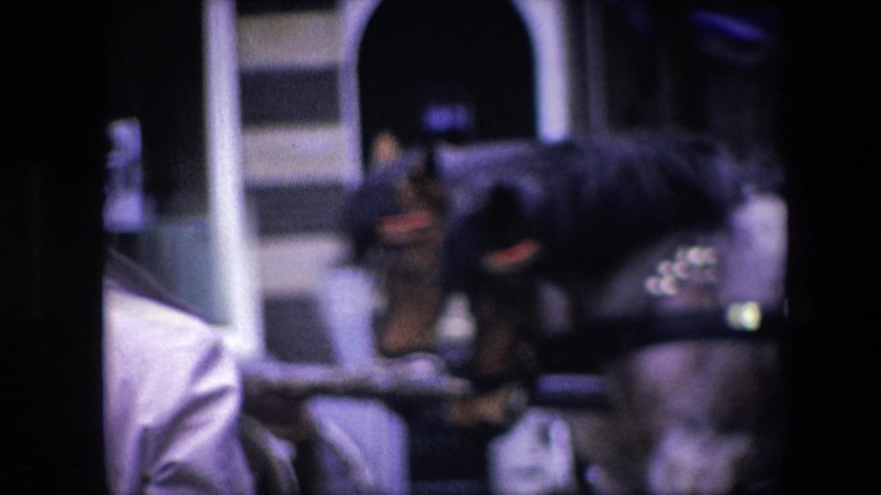 1967 Amsterdam street view with a horse-drawn carriage partly obscured by dark foreground framing and storefront arches in the background.