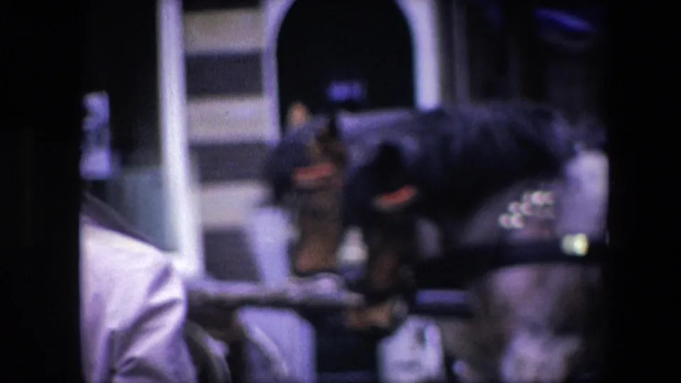 1967 Amsterdam street view with a horse-drawn carriage partly obscured by dark foreground framing and storefront arches in the background.