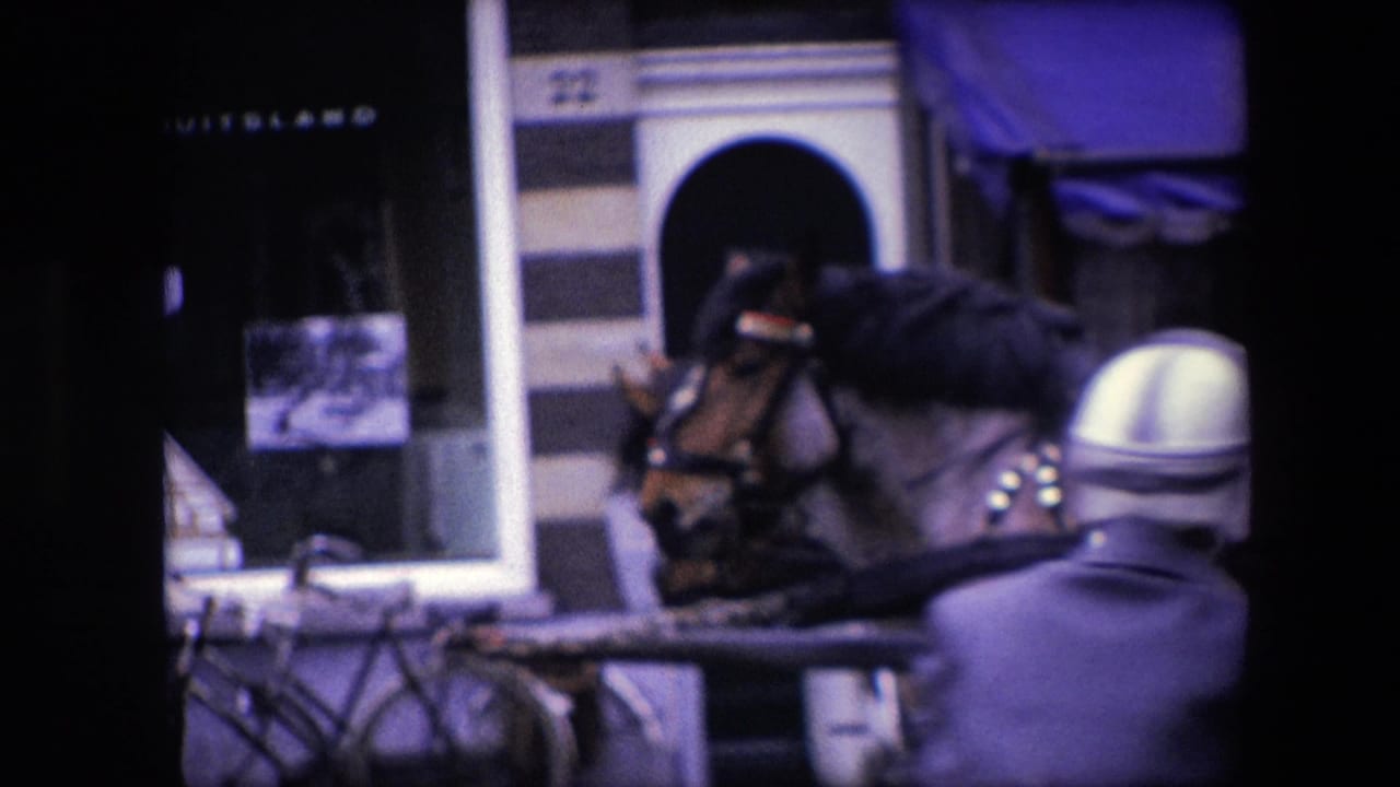 1967 Amsterdam close framing on a carriage horse in harness, a nearby adult figure, a storefront awning, and the striped facade of the adjacent commercial building.