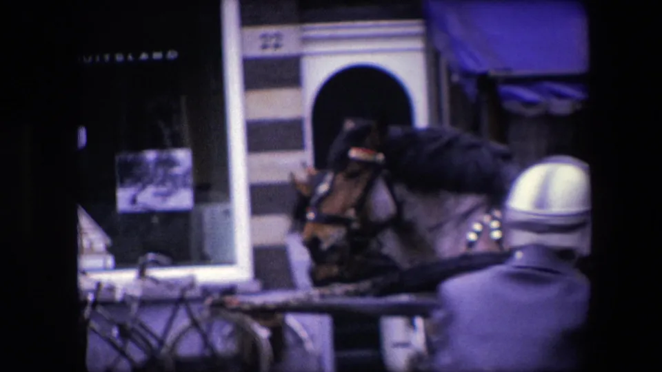1967 Amsterdam close framing on a carriage horse in harness, a nearby adult figure, a storefront awning, and the striped facade of the adjacent commercial building.