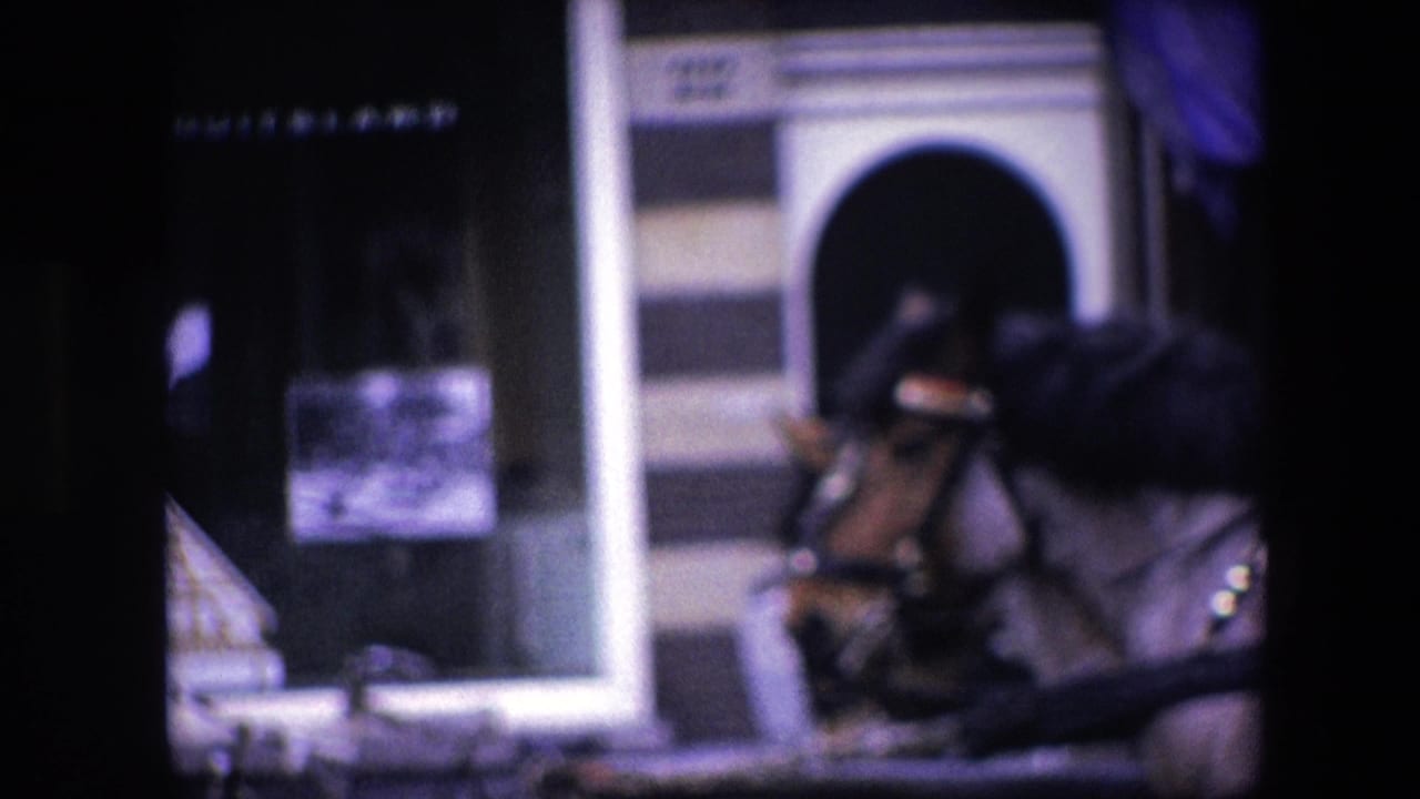 Soft 8mm frame of a dark harnessed horse near a striped facade and arched doorway in footage identified as 1967 Amsterdam.