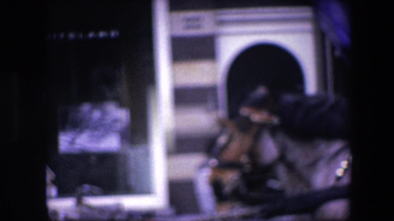 Blurred 8mm view of a harnessed horse standing near a striped building entrance and dark wall in the Amsterdam street scene.