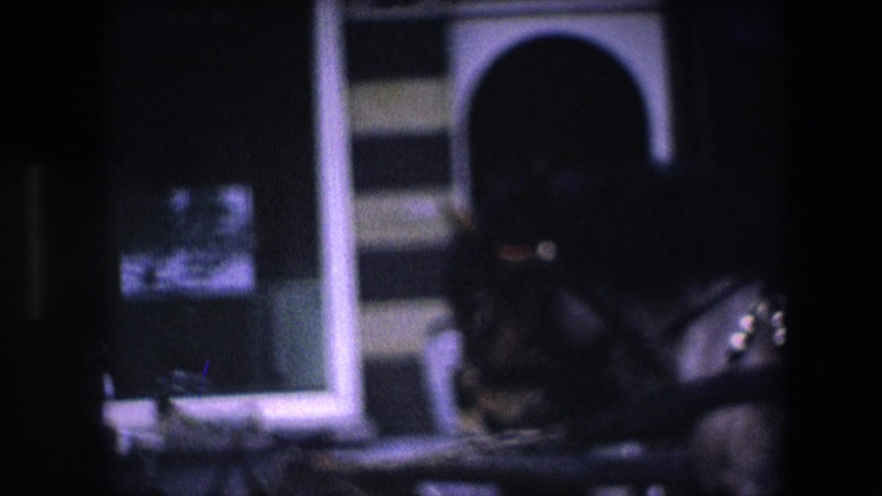 Out-of-focus home-movie frame showing the horse and harness near the striped facade and arched doorway, with dark street-side surroundings.