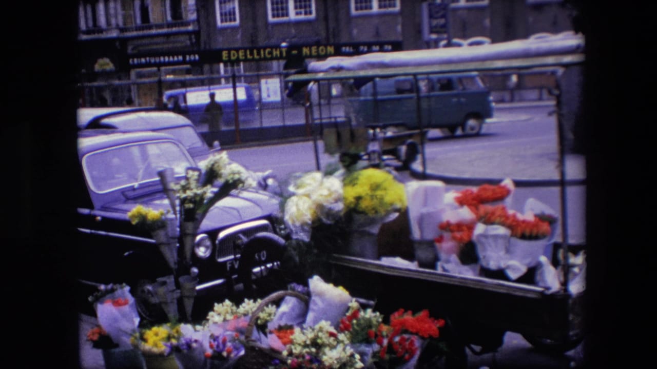 Amsterdam street frame with a flower cart in front, a dark parked car at left, and a van moving past storefronts in the background.