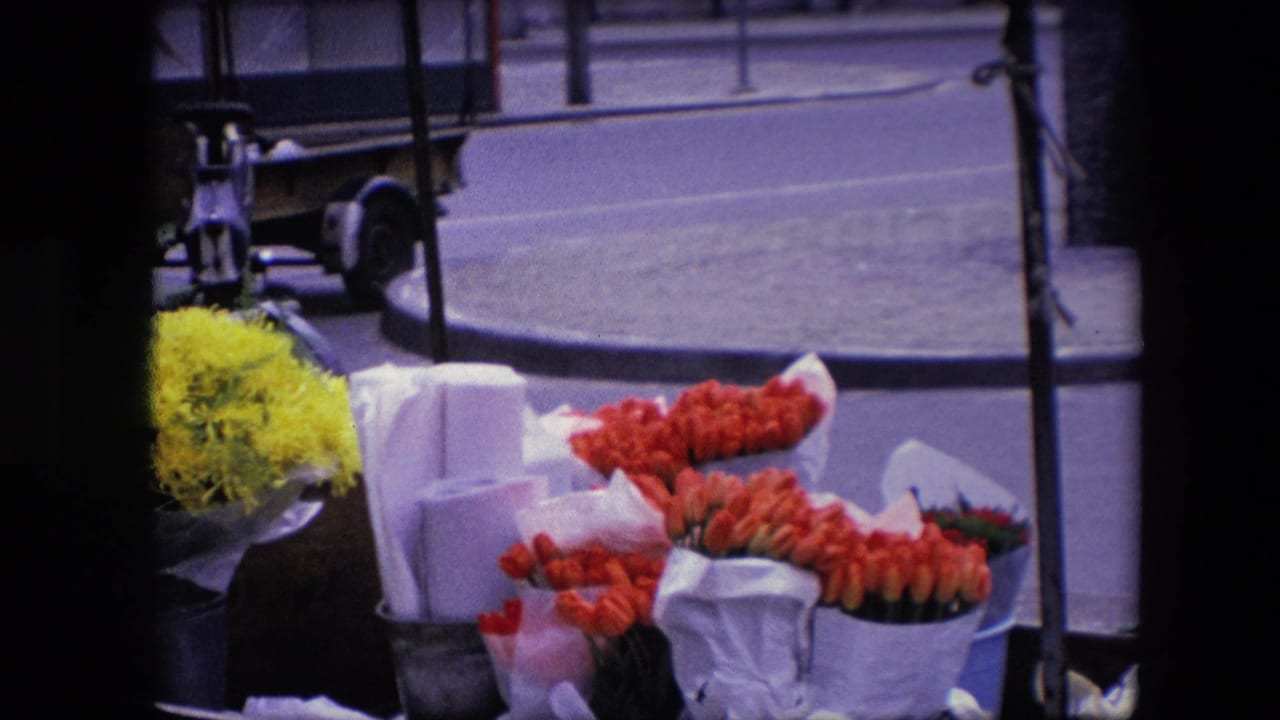 1967 Amsterdam home-movie frame showing a sidewalk flower display with red tulips, yellow chrysanthemums, white paper bundles, a curb, and a dark foreground frame.