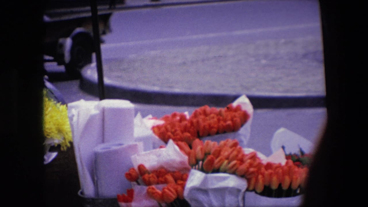 Red tulips bundled in white paper on a sidewalk cart near a curb and street.