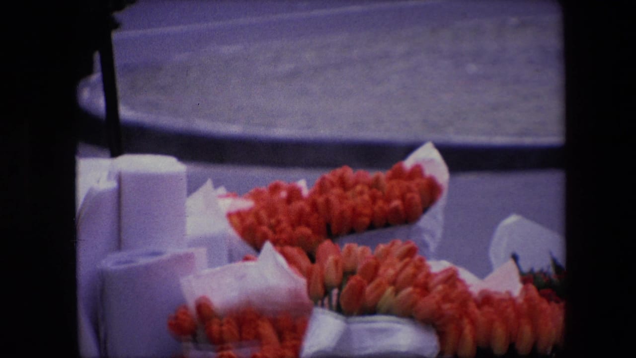 1967 Amsterdam home-movie still with a closer view of red tulips wrapped in white paper on a sidewalk flower display beside a curb.