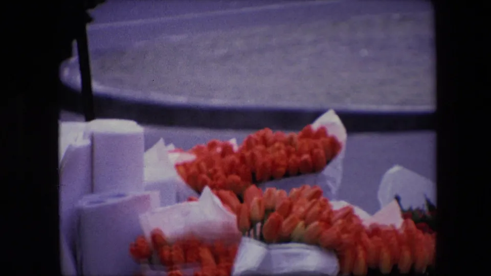 1967 Amsterdam home-movie still with a closer view of red tulips wrapped in white paper on a sidewalk flower display beside a curb.