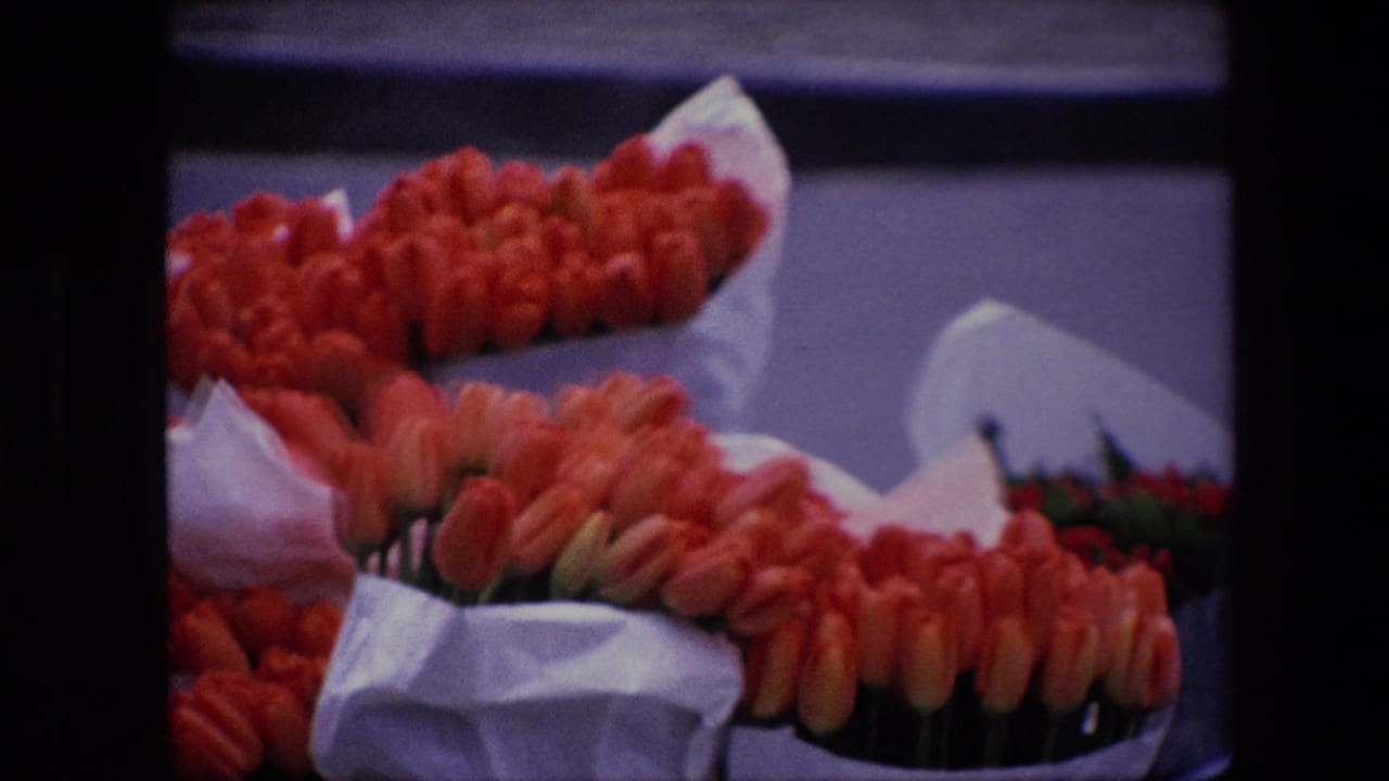 1960s 8mm-style frame of orange tulips arranged in paper-wrapped bunches on a flower-market display, with no people or signs visible.