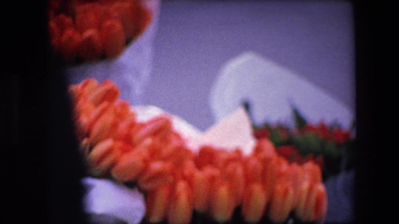 Soft-focus 8mm-style frame showing orange tulips in white paper wraps, with the bunches partly cropped by black film borders and no people visible.