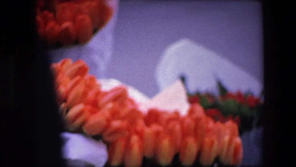 Soft-focus 8mm-style frame showing orange tulips in white paper wraps, with the bunches partly cropped by black film borders and no people visible.
