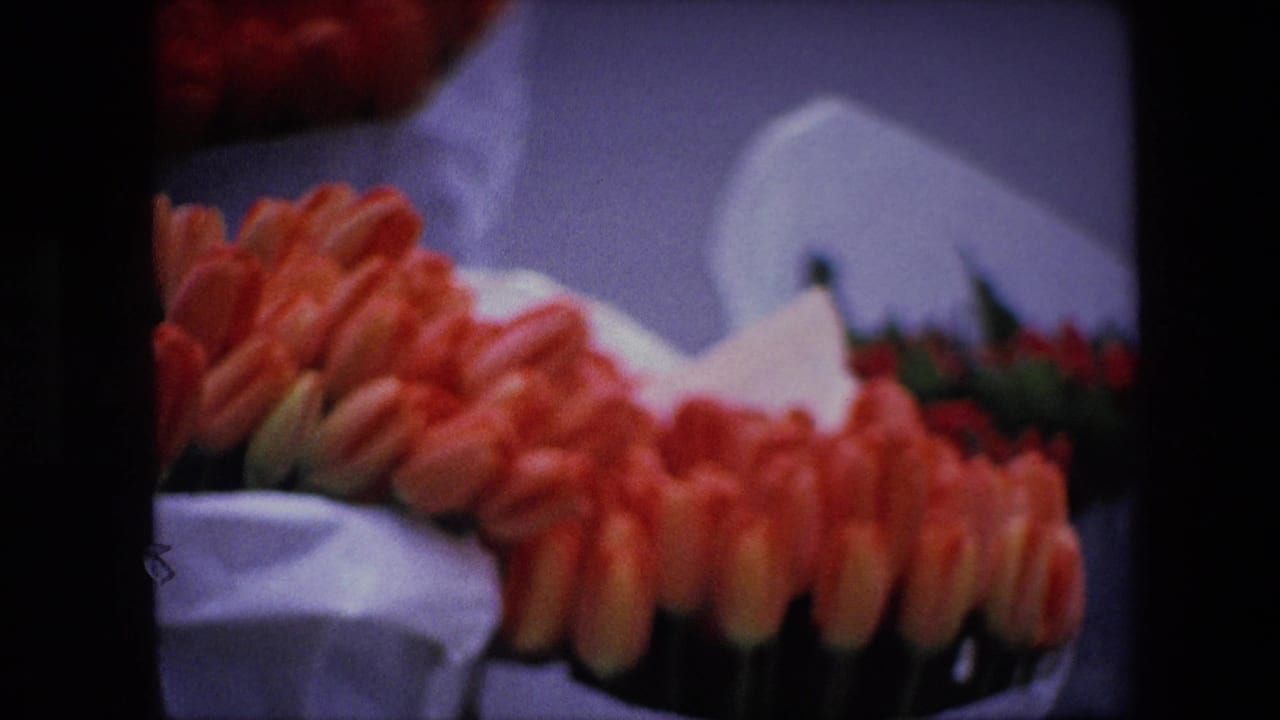Final frame of the short clip with orange tulip bunches filling the foreground and white paper wraps behind them, consistent with a brief flower-market cutaway.