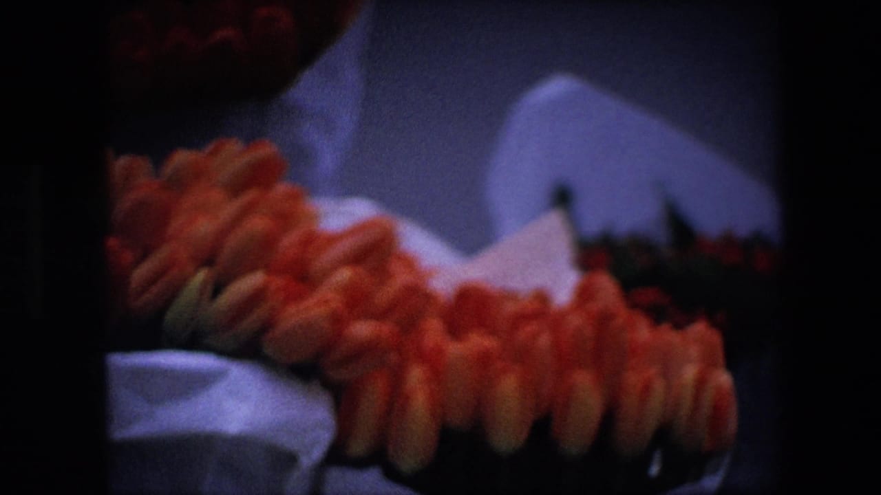 Softly exposed close view of red tulips in a white container, part of a 1967 Amsterdam home-movie clip according to metadata.