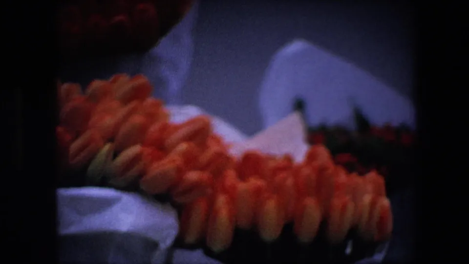 Softly exposed close view of red tulips in a white container, part of a 1967 Amsterdam home-movie clip according to metadata.