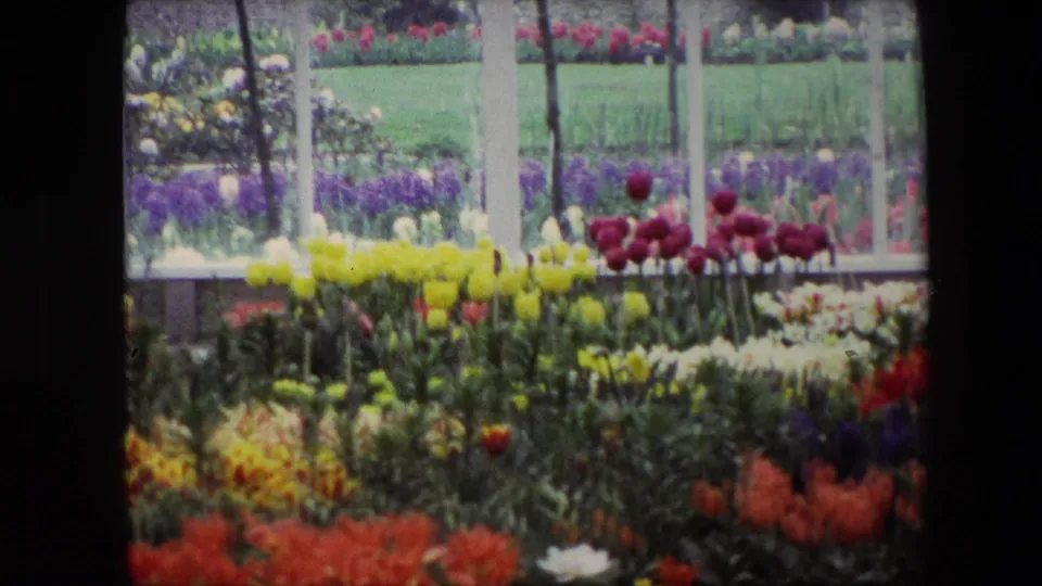 Static home-movie frame of bright flower beds seen through greenhouse-like white framing, with soft focus and visible film grain.