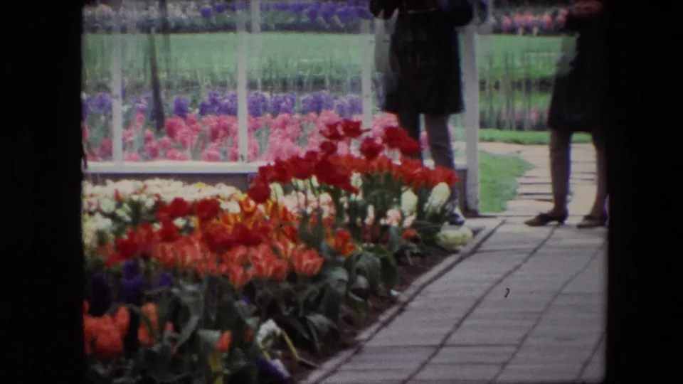 A paved path runs between tulip beds and greenhouse glass panels, with several visitors in coats standing ahead in the 1967 Amsterdam flower-market scene.