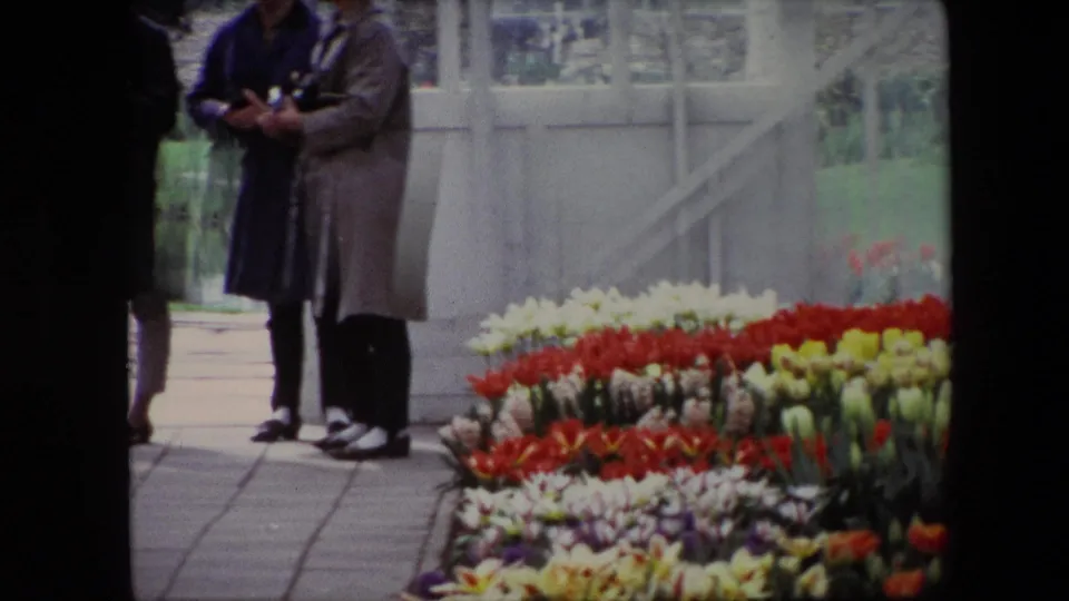 Two visitors in period coats stand beside dense red, yellow, and white tulip beds near a white greenhouse frame in the 1967 Amsterdam flower-market footage.