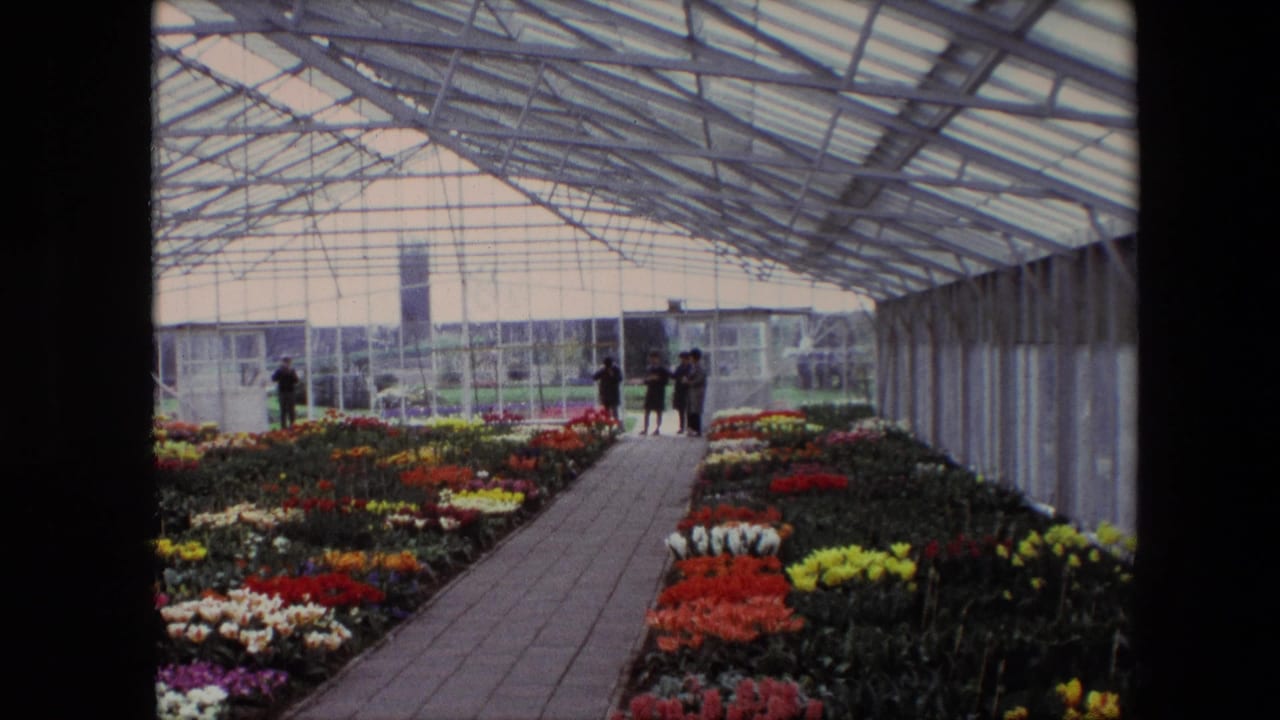 1960s 8mm footage cataloged as Amsterdam shows colorful flower beds beside a central brick path under a glass-and-metal greenhouse roof, with several visitors near the far end.