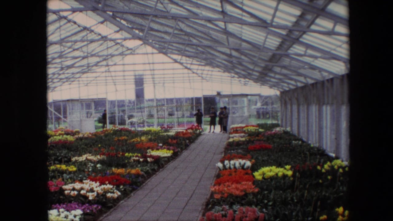 Rows of flowers and a brick path lead toward visitors under an arched greenhouse roof.