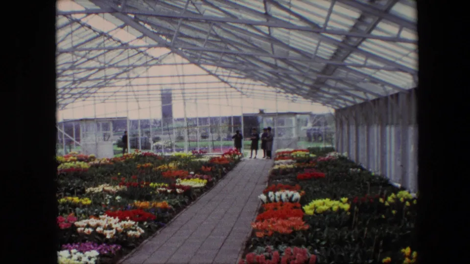 A cataloged Amsterdam greenhouse scene shows red, yellow, white, and purple flower beds bordering a brick walkway, with visitors standing beneath the large glass roof.