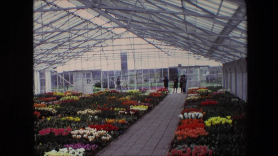The frame shows a visitor-shot view down a brick path through dense, colorful greenhouse flower displays, with several people gathered near the end of the aisle.