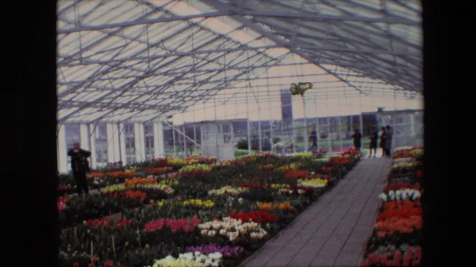 A 1960s home-movie frame cataloged as Amsterdam shows a person near the left flower beds, more visitors in the distance, and a brick walkway passing through the greenhouse display.
