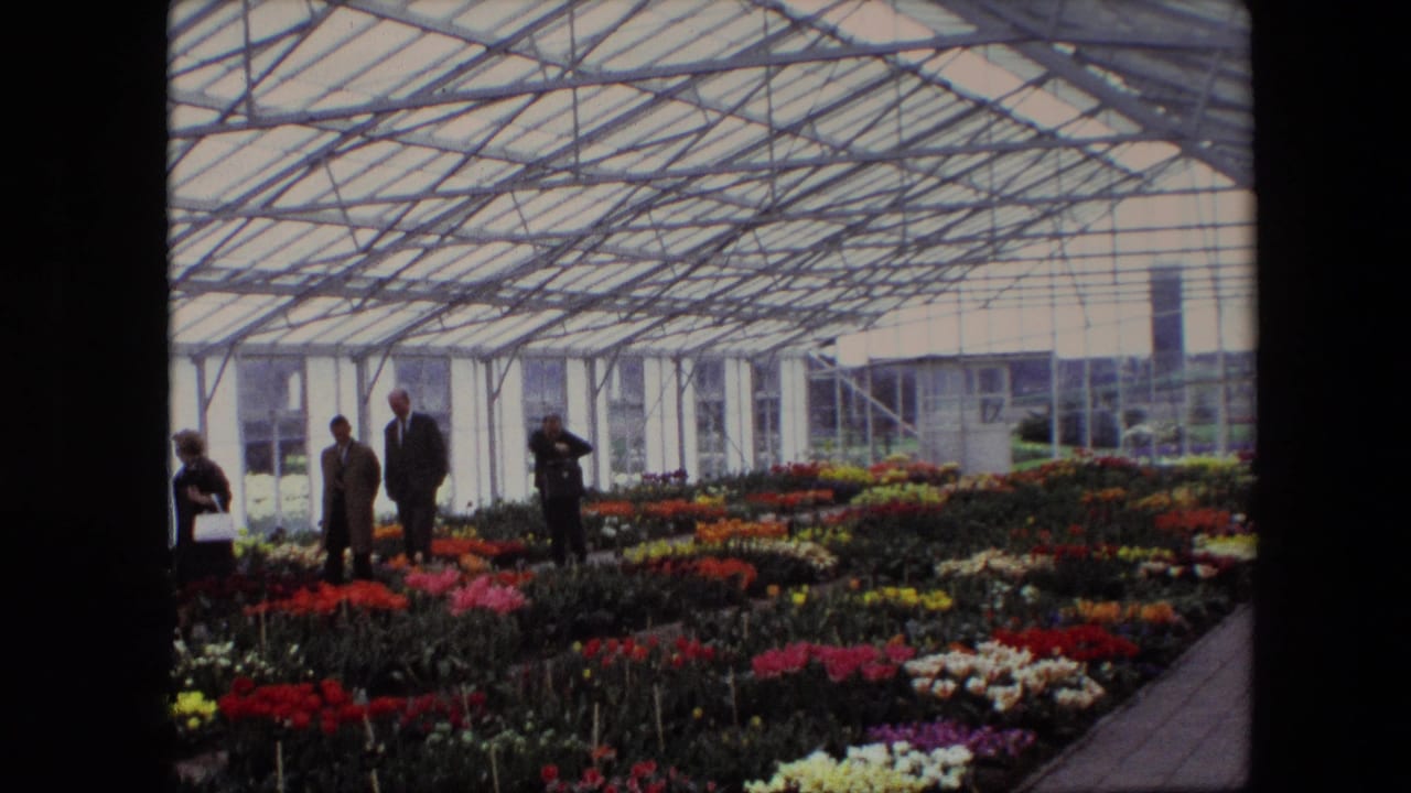 Adults gather near flower beds under the glass roof of a greenhouse.