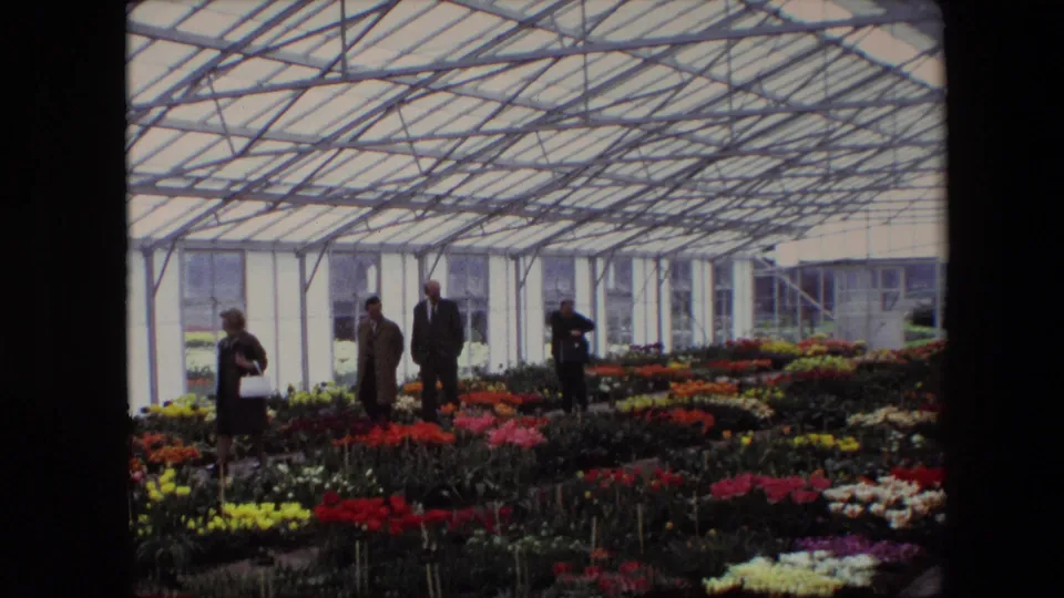 Several adult visitors, including men in suits and a woman in a dark coat, stand among rows of blooming potted flowers in the glass-enclosed greenhouse.