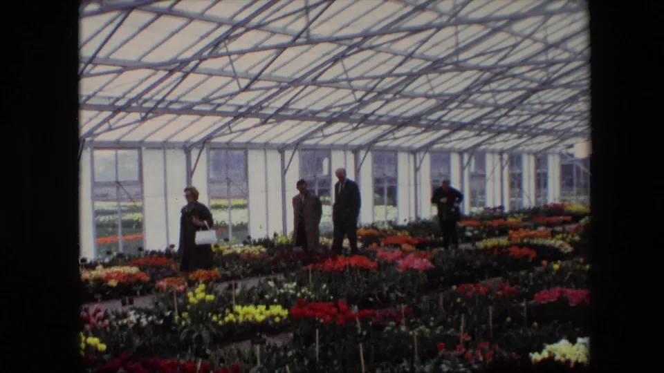 The final frame shows adults spaced along the flower display area, with bright greenhouse walls, metal roof supports, and rows of vivid potted flowers filling the foreground.