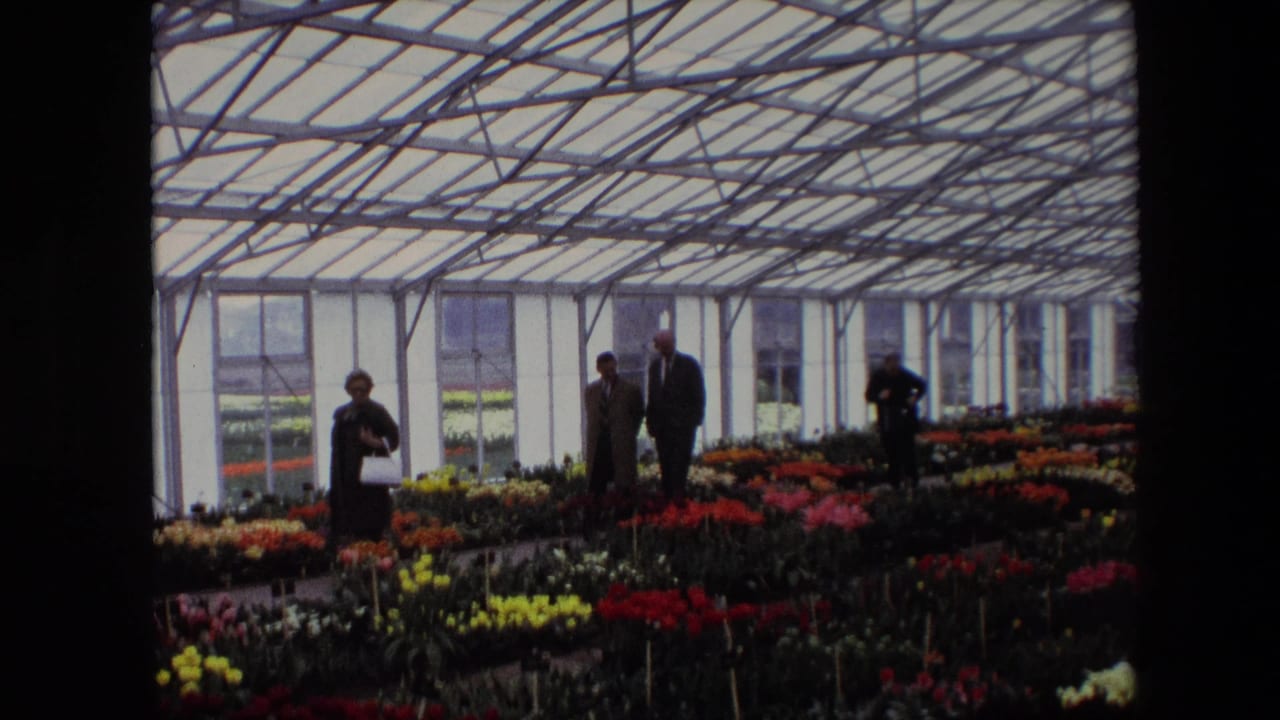 1967 home-movie frame identified by metadata as Amsterdam, showing four visitors in period clothing among bright flower beds under a metal-framed glasshouse roof.