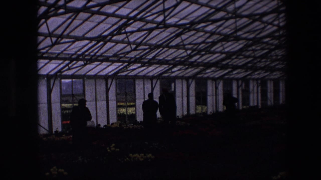Dark silhouetted figures stand inside a greenhouse with flower beds beneath a glass roof.