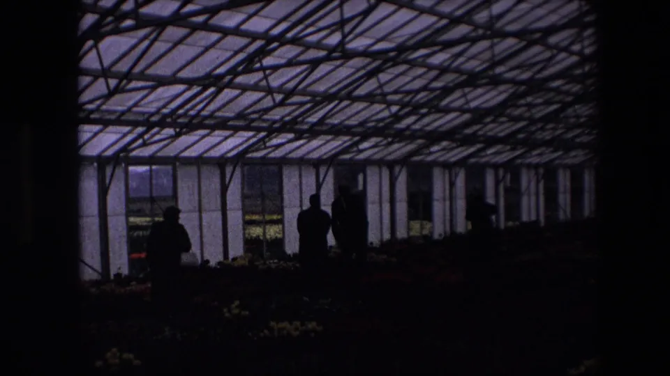 Darker 8mm frame of visitors silhouetted inside the greenhouse, with rows of flowers faintly visible beneath the glass and metal roof structure.