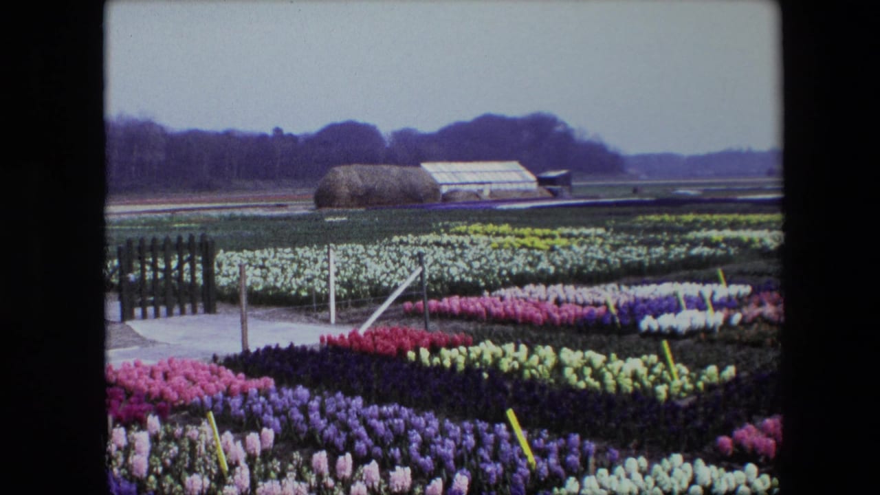Flower beds in several colors fill the foreground with a low fence, greenhouse, haystack-like mound, and open fields beyond.
