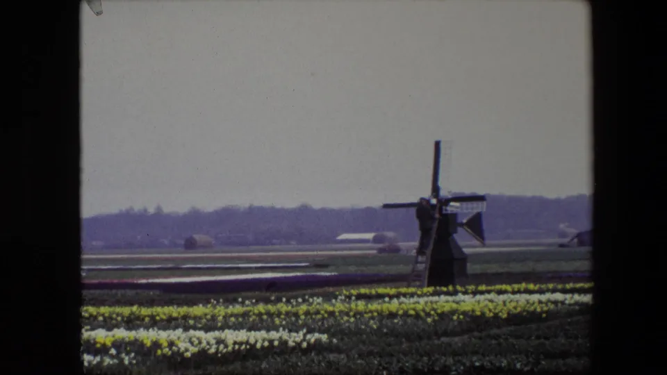 Distant home-movie frame showing a person on the ladder of a dark windmill, with flower beds, flat farmland, low structures, and a hazy tree line in the background.
