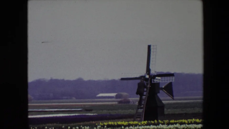 A dark windmill stands near the right side of the frame with a person on its ladder, yellow flower beds in the foreground, and flat open fields beneath a gray sky.