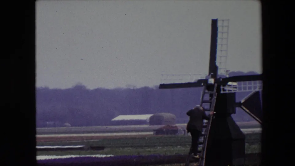 1967 8mm Amsterdam-area footage showing an adult man in dark clothing climbing or standing on a windmill ladder, with tulip rows and farmland behind him.