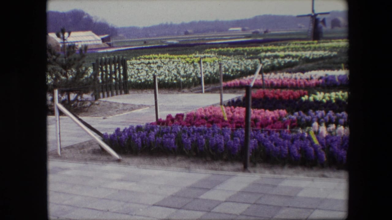 Flower beds and paved paths with a windmill visible beyond the fields.