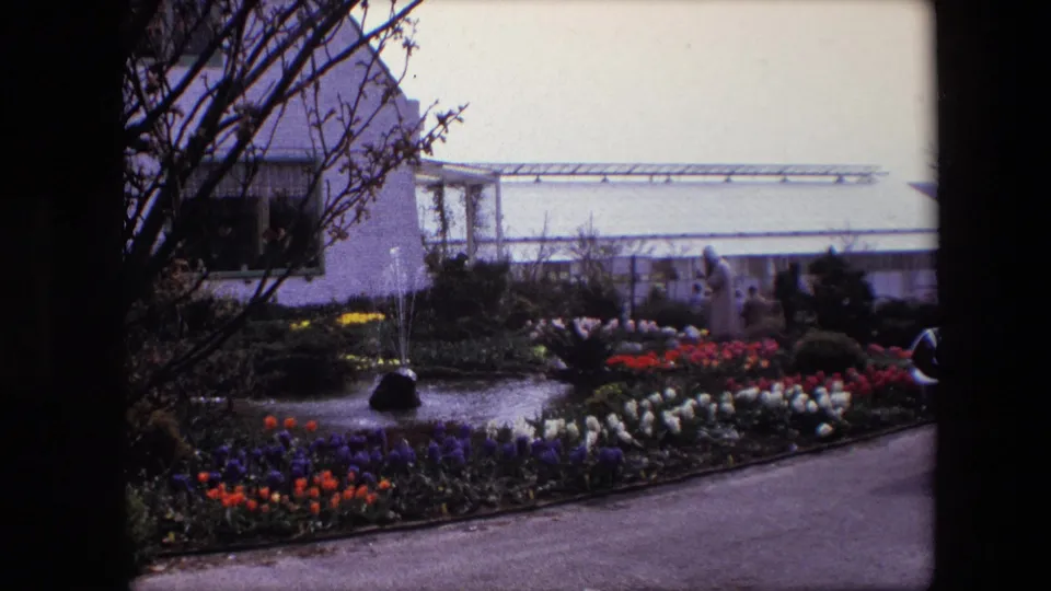 Cataloged 1967 8mm frame of a formal garden with fountain spray, colorful planted beds, a curved path, shrubs, and a greenhouse-like building in the background.